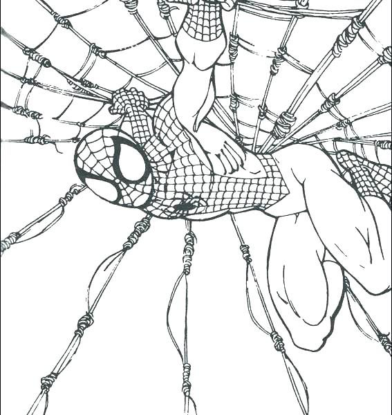 567x600 Free Printable Spiderman Mask For Elf On The Shelf Coloring Top
