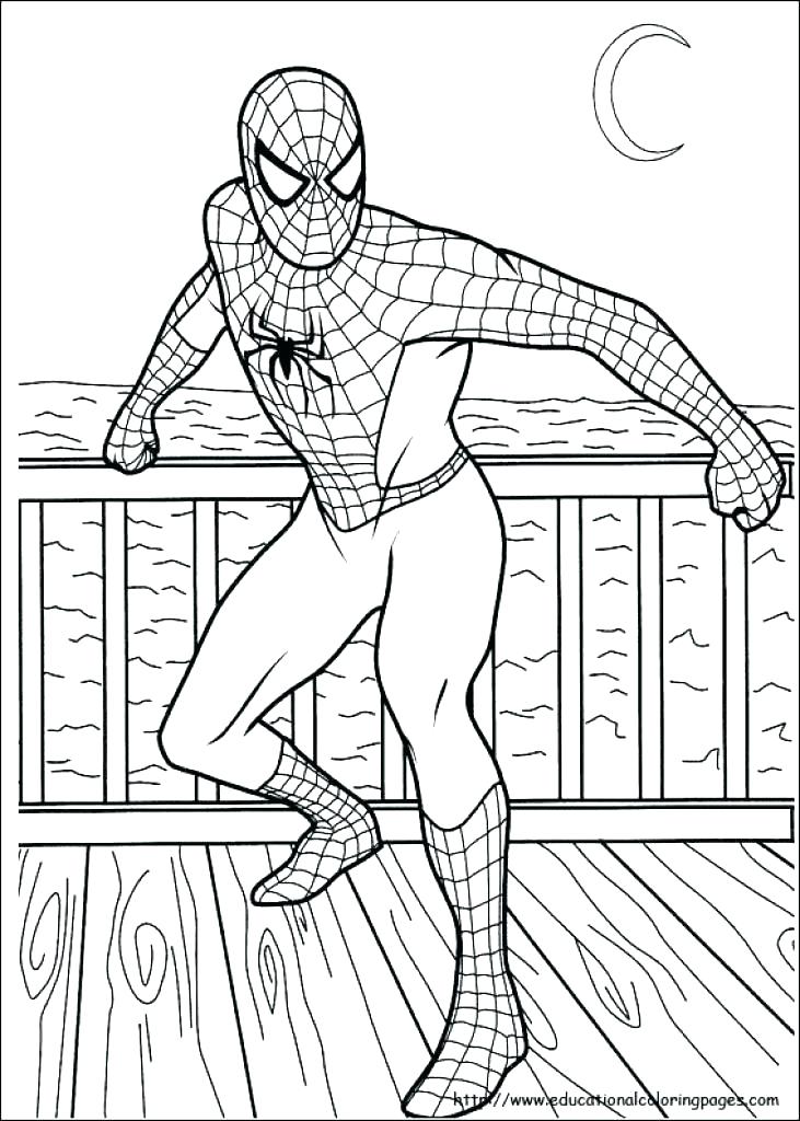 731x1024 Coloring Pages Spiderman Amazing Spider Man Coloring Pages Free