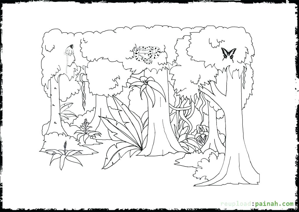 1024x728 Amazon Rainforest Coloring Pages Click The Two Scarlet Macaws