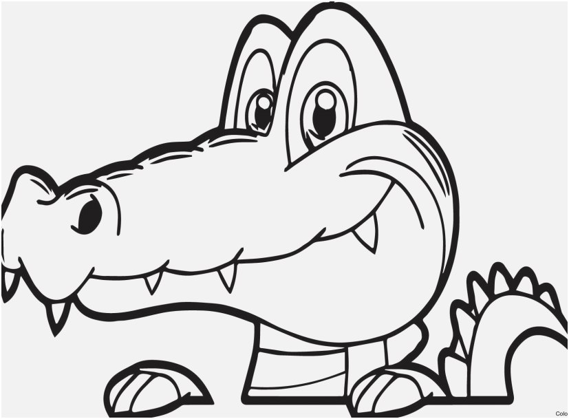 827x609 Alligator Coloring Pages Pictures Good Alligator Coloring Pages