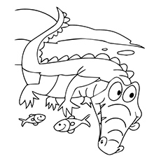 230x230 Top Free Printable Alligator Coloring Pages Online