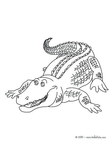 American Alligator Coloring Page at GetDrawings | Free download