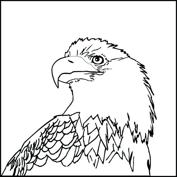 600x600 Coloring Page An Eagle Bald Eagle Coloring Page Fresh Rules
