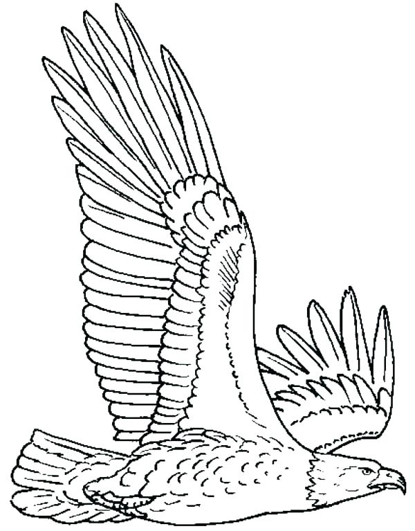 600x767 Eagle Coloring Page Eagle Coloring Book Plus Bald Eagle Coloring