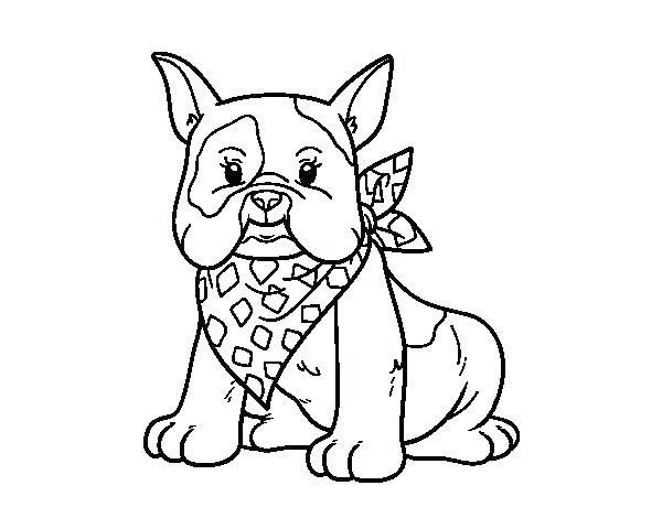 600x470 Bulldog Coloring Pages Bulldog Coloring Pages Bulldog Coloring