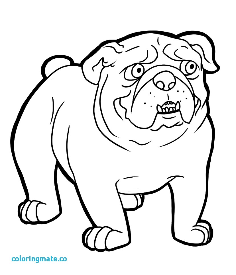 828x966 American Bulldog Coloring Page Pages