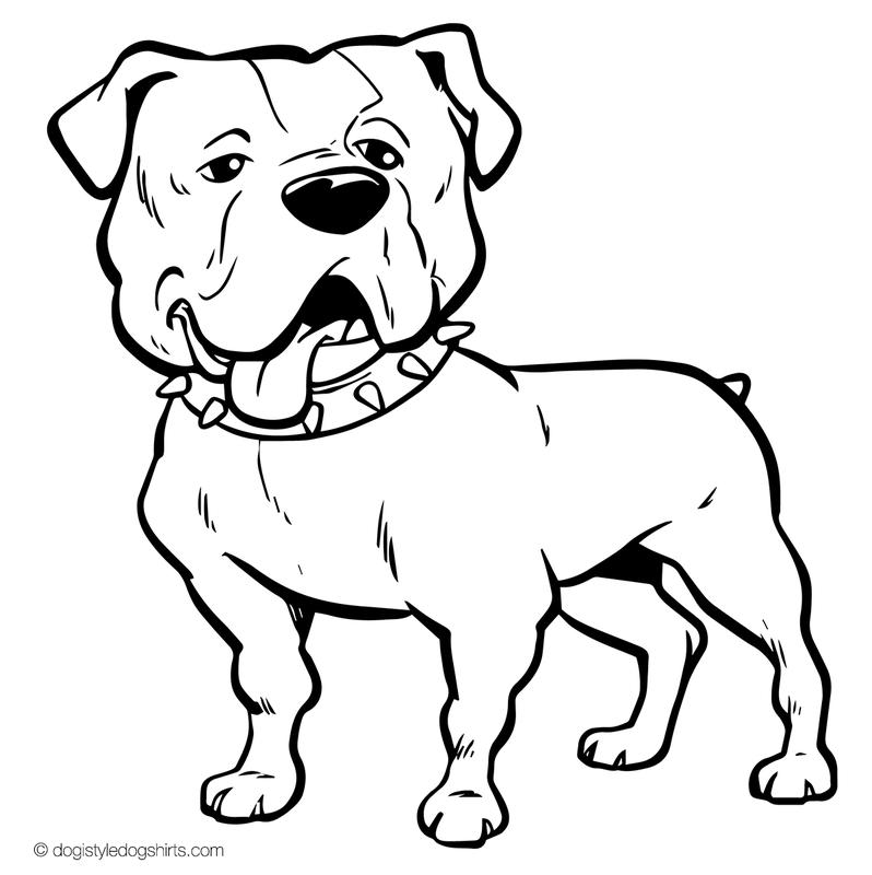 798x800 American Bulldog Coloring Pages American Bulldog Drawing
