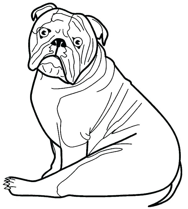 600x668 American Bulldog Coloring Pages Bulldog Coloring Pages Bulldog
