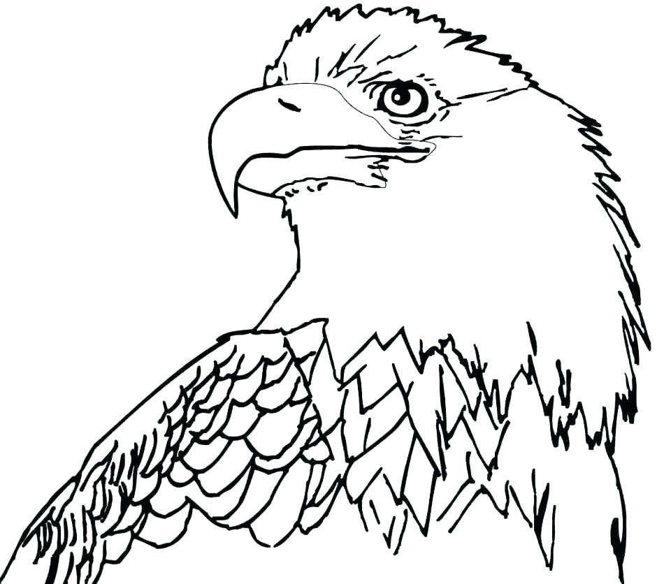 940x836 Bald Eagle Pictures To Color Bald Eagle Coloring Pages Eagle Color