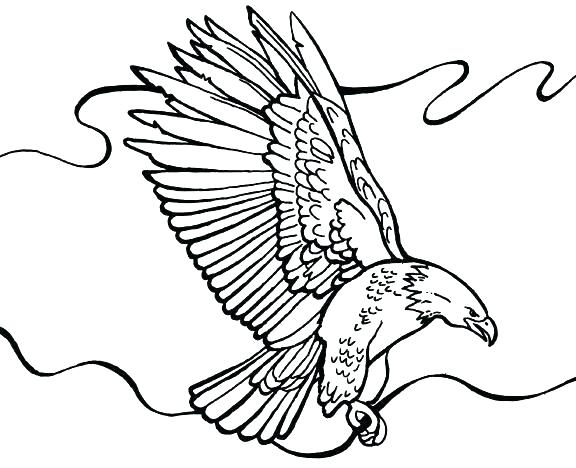 576x468 Eagle Color Page Medium Size Of Bald Eagle Coloring Pages Free