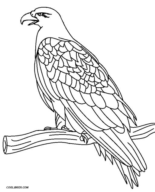 513x635 Exciting Eagle Coloring Pages Printable For Kids