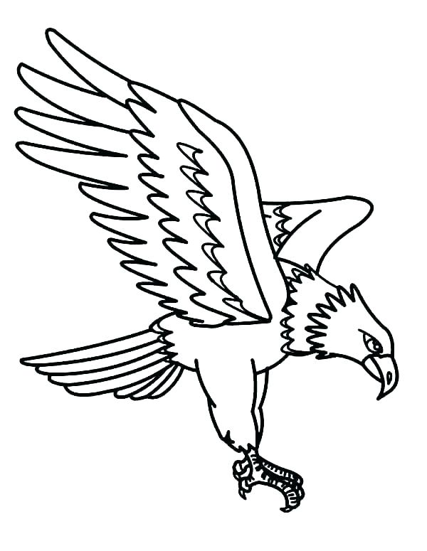 600x775 Bald Eagle Coloring Pictures