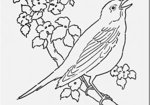 300x210 Coloring Pages Of Birds And Flowers Display Magic American Robin