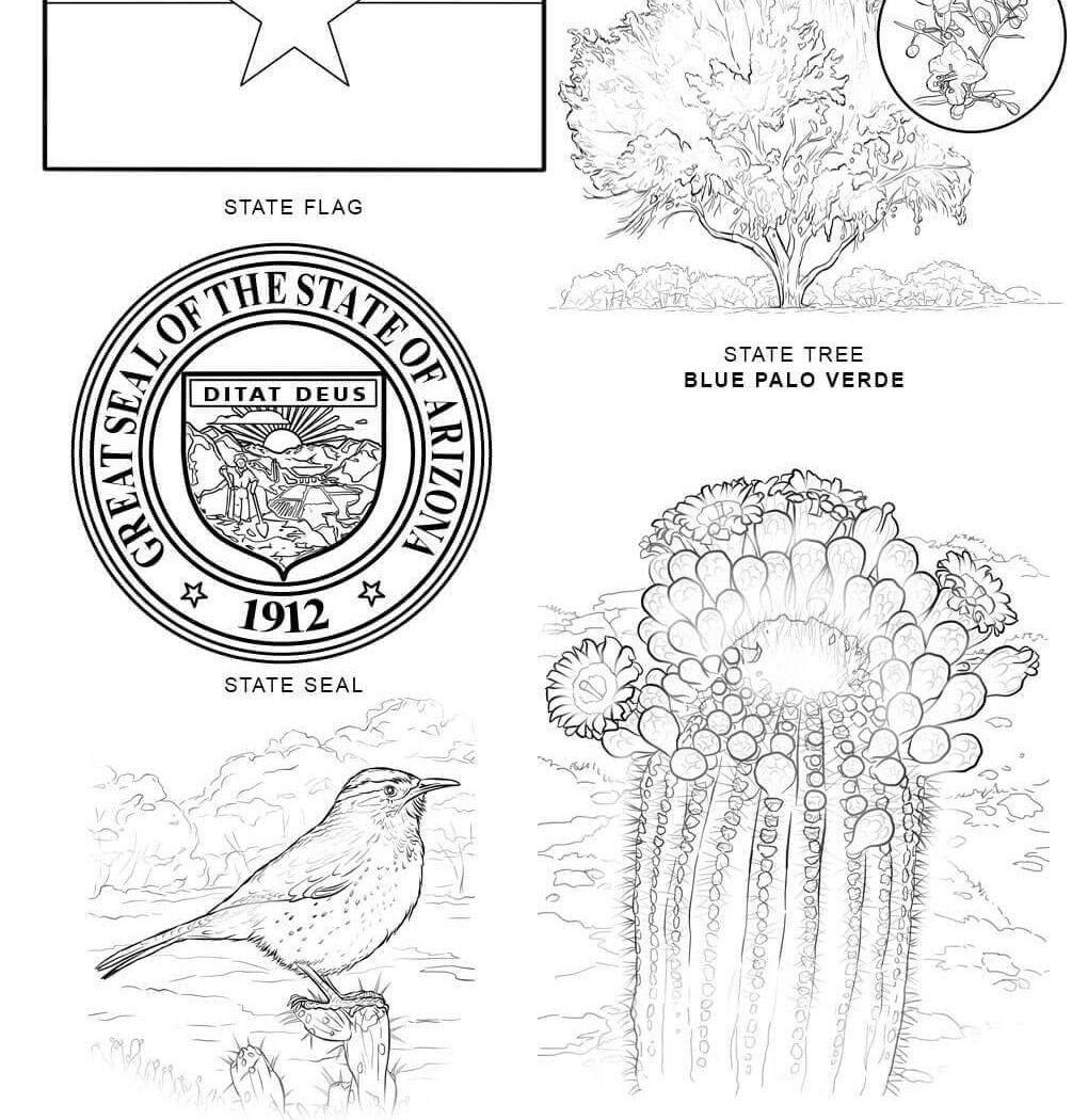 1020x1050 State Symbols Coloring Pages