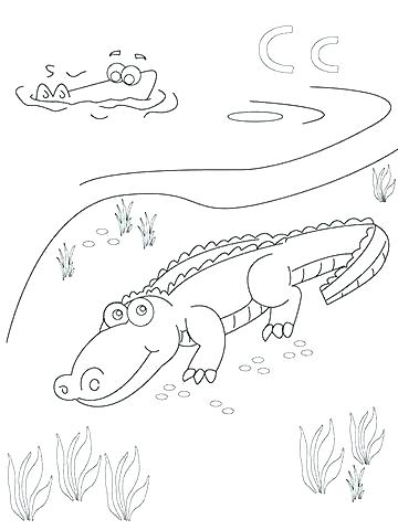 360x480 Amphibian Coloring Pages Crocodile Pictures To Color Amphibian