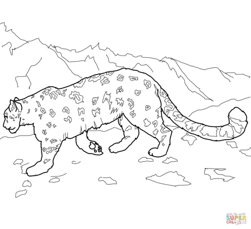 1024x935 Leopard Coloring Page Get Bubbles