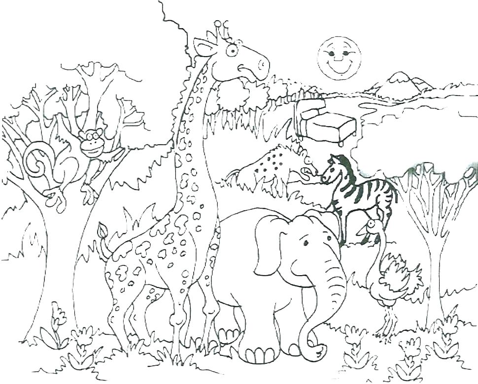 970x780 Leopard Coloring Pages Baby Leopard Coloring Pages Jungle Animals