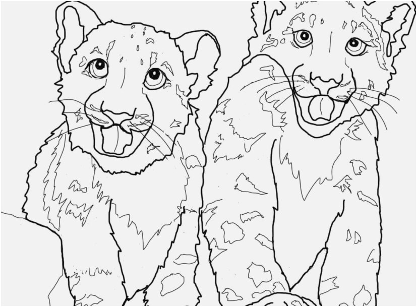 827x609 The Best Capture Leopard Coloring Pages Elegant