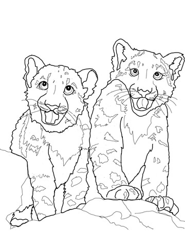 360x480 Babies Snow Leopard Coloring Page