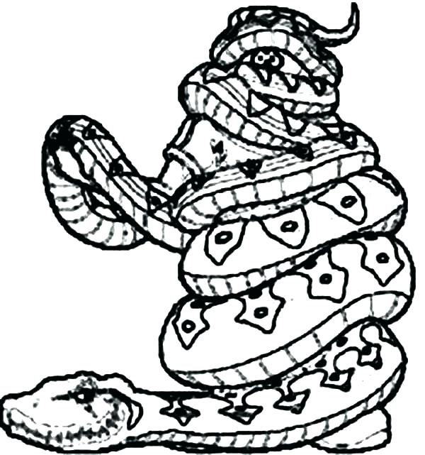 600x641 Rattlesnake Coloring Page Anaconda Coloring Pages Human Killer