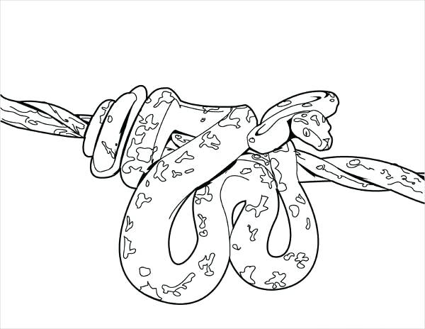 600x464 Anaconda Coloring Page Free Printable Snake Coloring Page Coloring