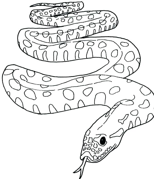 600x698 Coloring Page Snake Coloring Pages Snake Anaconda Coloring Pages