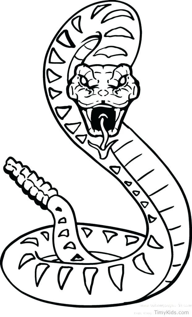 621x1024 Coloring Pages Online Snake Color Mother Of Anaconda Page Free