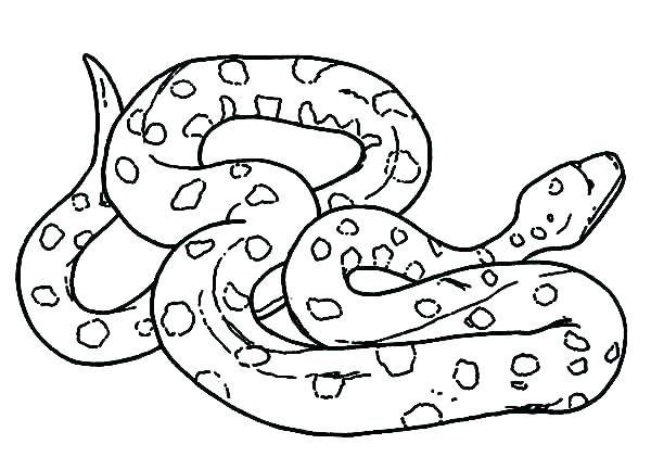 600x421 Colouring Pictures Of Snakes Colouring Pictures Of Snakes Snakes G