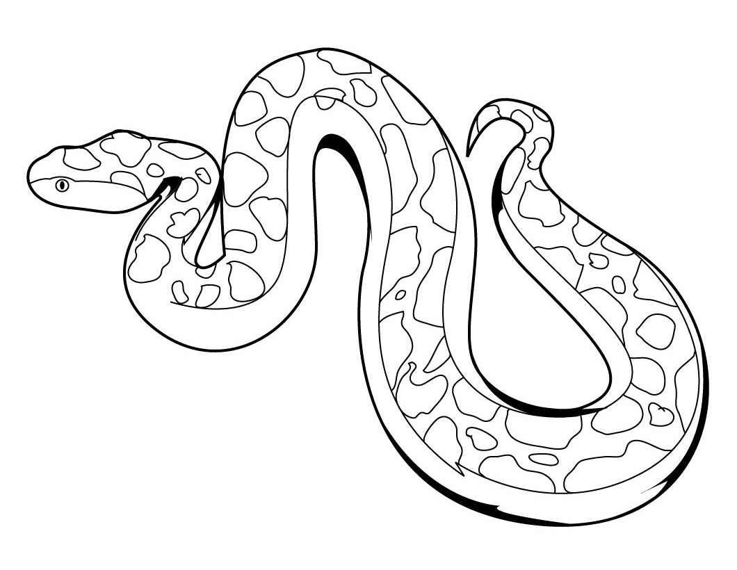1060x820 Creative Ideas Snake Coloring Pages Printable Realistic For Adults
