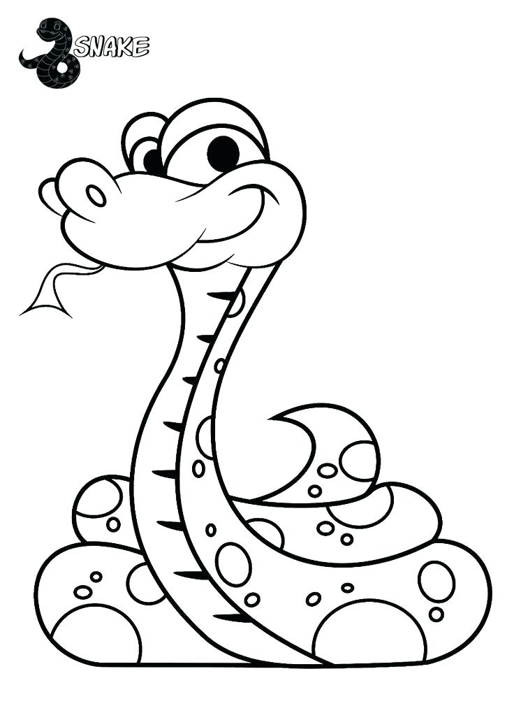 736x1030 Snake Color Page Anaconda Coloring Page Snake Coloring Pages