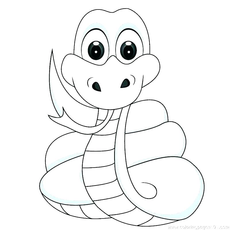 800x800 Snake Coloring Page Color Pages For Kids Coloring Striking Cobra
