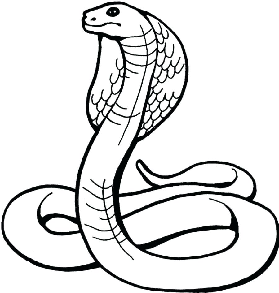 900x947 Coloring Pages Snake Coloring Pages For Kids Reptiles Realistic