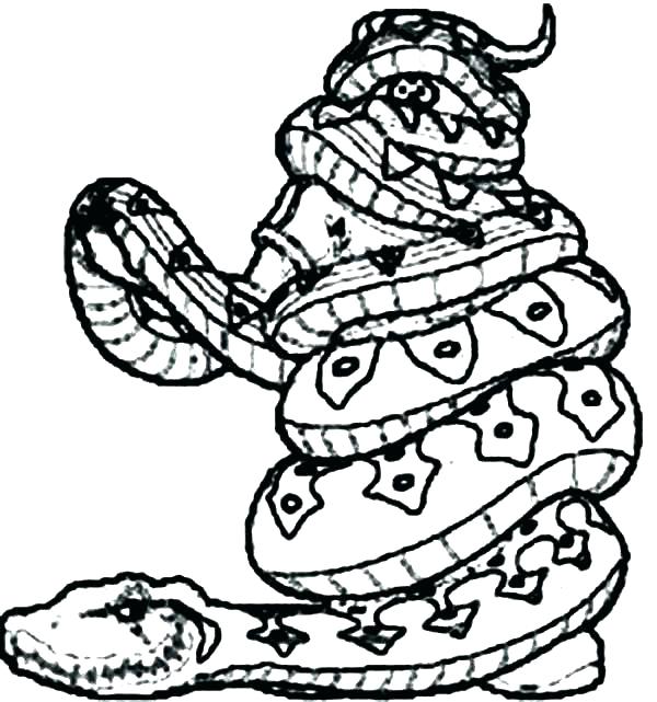 600x641 Anaconda Coloring Page Anaconda Coloring Page Coloring Pages