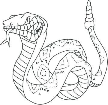 360x350 Anaconda Coloring Pages Snake Coloring Page Kids Pages Snake