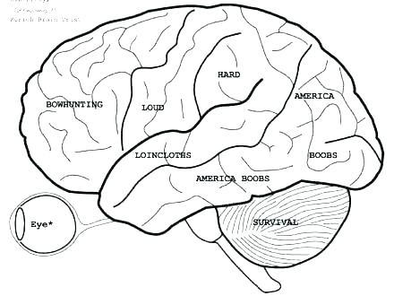440x330 Brain Color Page Brain Anatomy Coloring Pages Brain Coloring Page