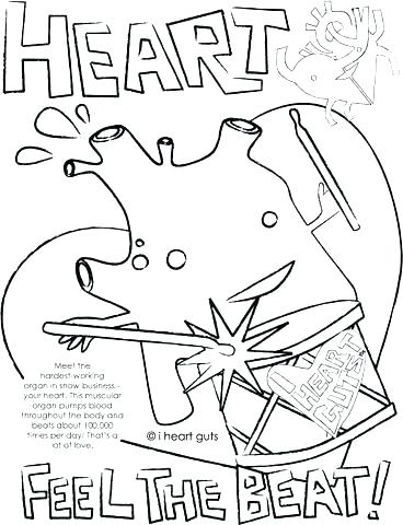 368x480 Heart Anatomy Coloring Pages Heart Anatomy Coloring Pages Sheet