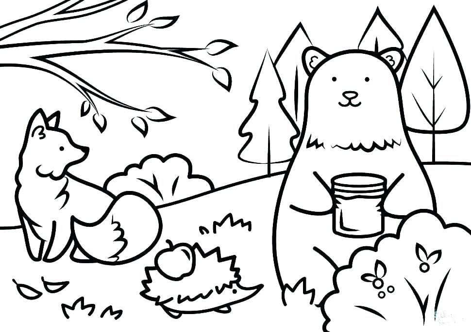 970x685 Anatomy Coloring Pages For Adults Anatomy And Physiology Coloring