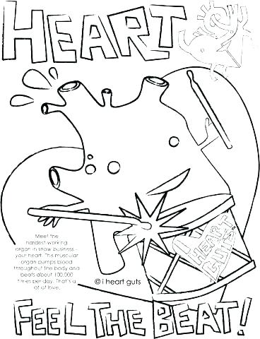 368x480 Heart Anatomy Coloring Pages Heart Coloring Book Heart Anatomy