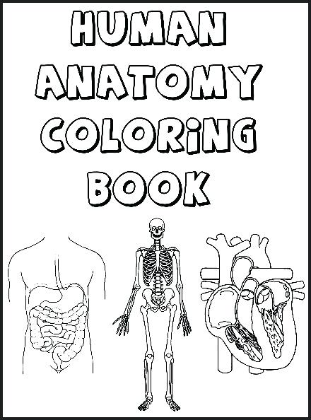 440x594 Free Printable Human Anatomy Coloring Pages
