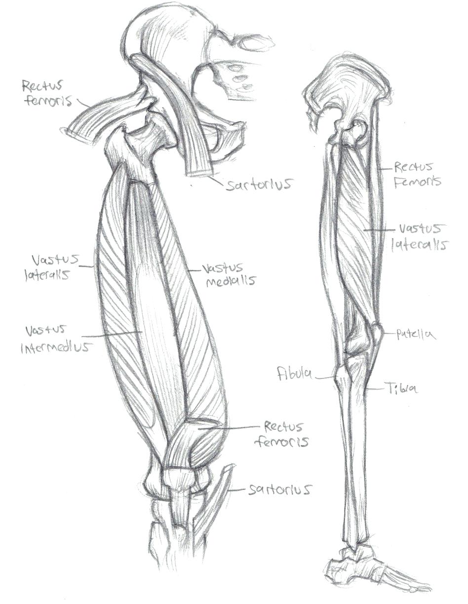 948x1224 Printable Printable Anatomy Coloring Pages Doctor Book Page