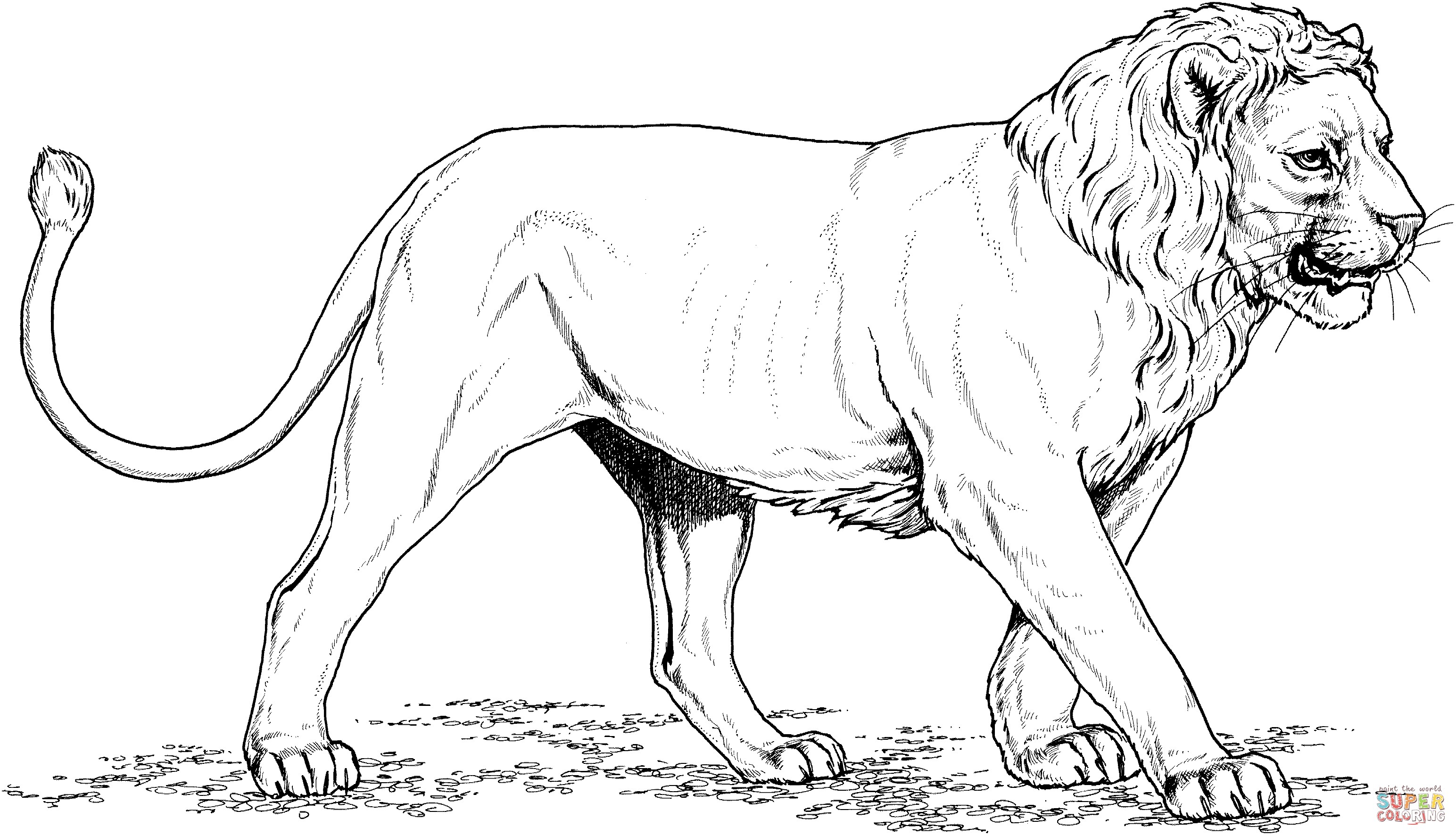 3088x1772 Inspiration India Coloring Pages Printables Copy Asiatic Lion Gir