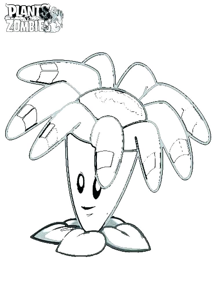 736x1030 Plants Coloring Page Sea Plants Coloring Pages Sea Anemone