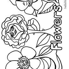 220x220 Anemone Coloring Pages