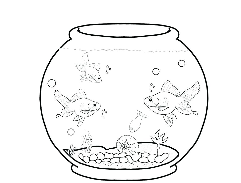 970x739 Sea Anemone Coloring Page Sea Anemone Colouring Page Yongtjun