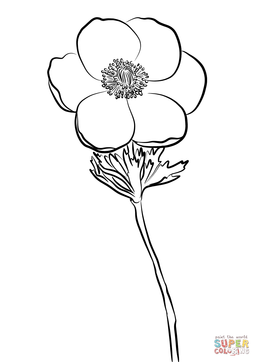 848x1200 Unique Anemone Coloring Pages Gallery Printable Coloring Sheet
