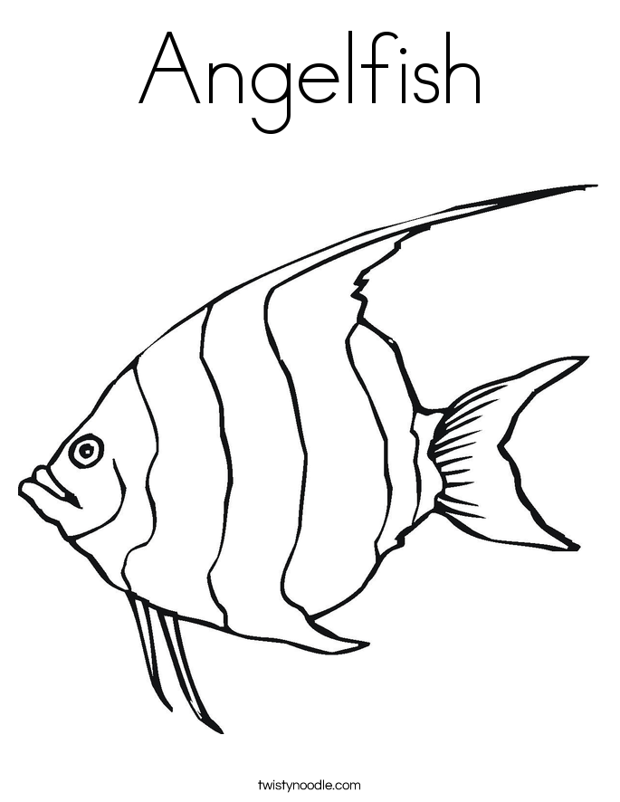 685x886 Angelfish Coloring Page