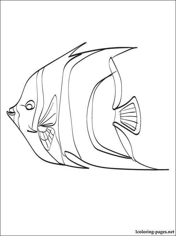 560x750 Angelfish Coloring Page Coloring Pages