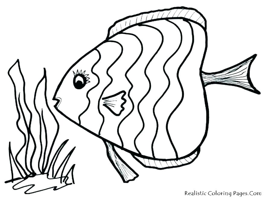 878x659 Realistic Fish Coloring Pages Fish Coloring Pages Lovely Idea