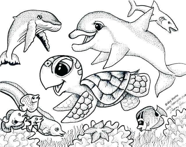 640x509 Coloring Pages Of Fish Angler Fish Coloring Page Free Coloring