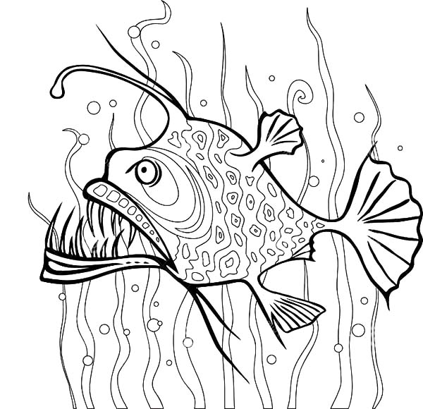 600x580 Angler Fish Coloring Pages